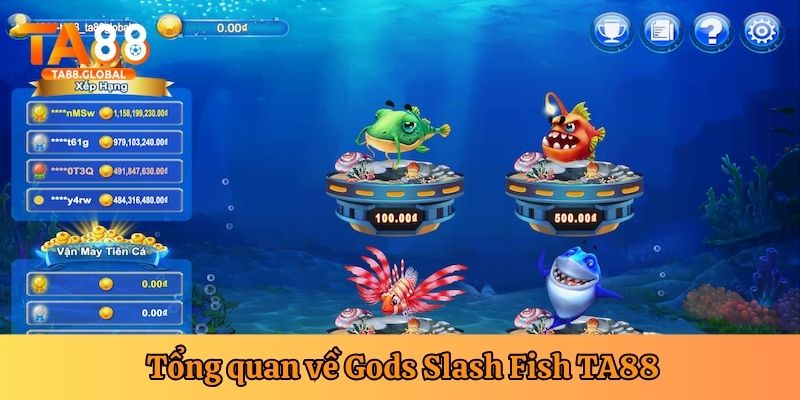 Giới thiệu về Gods Slash Fish TA88
