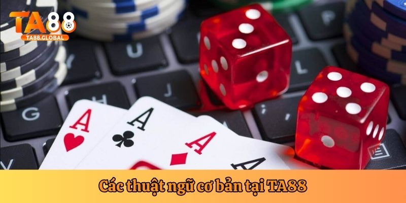 Các thuật ngữ cơ bản khi chơi game bài phỏm trực tuyến