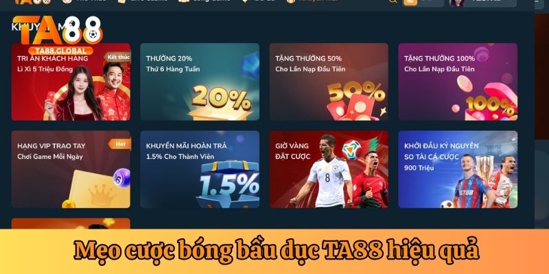 Những mẹo cược bóng bầu dục hiệu quả tại nhà cái TA88