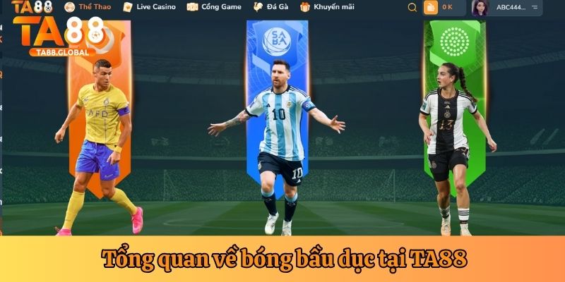 Tổng quan về cược bóng bầu dục TA88
