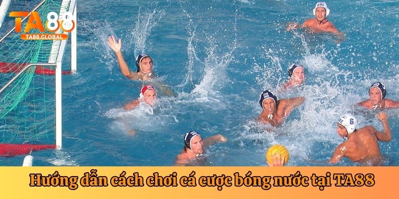 Từng bước tham gia chơi cá cược bóng nước của nhà cái TA88